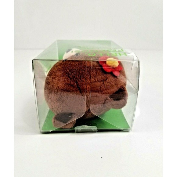 LINE Friends BROWN Bear w/ HULA Outfit Plush Doll 7" 18 cm Naver Line NEW - Picture 8 of 9